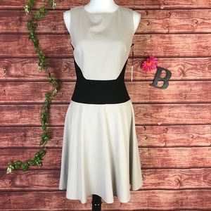 Calvin Klein Dress 4 Black Khaki Career Cocktail